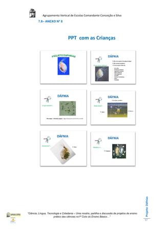 Agrupamento Vertical de Escolas Comandante Conceição e Silva
         7.8– ANEXO Nº 8




                                   PPT com as Crianças




                                                                                                    Projeto: Dáfnias




“Ciência, Língua, Tecnologia e Cidadania – Uma mostra, partilha e discussão de projetos de ensino
                       prático das ciências no1ª Ciclo do Ensino Básico…”
                                                                                                    57
 