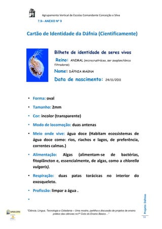Agrupamento Vertical de Escolas Comandante Conceição e Silva
         7.9– ANEXO Nº 9



Cartão de Identidade da Dáfnia (Cientificamente)


                        Bilhete de identidade de seres vivos
                         Reino:        ANIMAL (microcrustráceo, ser zooplanctónico
                        filtradores)

                        Nome: DÁFNIA MAGNA
                        Data de nascimento:                           24/11/2011




• Forma: oval

• Tamanho: 2mm

• Cor: incolor (transparente)

• Modo de locomoção: duas antenas

• Meio onde vive: água doce (Habitam ecossistemas de
  água doce como: rios, riachos e lagos, de preferência,
  correntes calmas.)

• Alimentação: Algas (alimentam-se de bactérias,
  fitoplâncton e, essencialmente, de algas, como a chlorella
  vulgaris).

• Respiração: duas                     patas        torácicas          no      interior        do
  exosqueleto.

• Profissão: limpar a água .
                                                                                                    Projeto: Dáfnias




•

“Ciência, Língua, Tecnologia e Cidadania – Uma mostra, partilha e discussão de projetos de ensino
                       prático das ciências no1ª Ciclo do Ensino Básico…”
                                                                                                    58
 