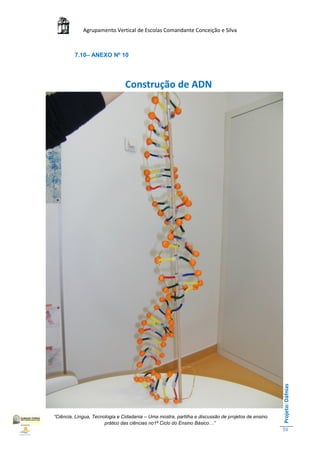 Agrupamento Vertical de Escolas Comandante Conceição e Silva



         7.10– ANEXO Nº 10




                                Construção de ADN




                                                                                                    Projeto: Dáfnias




“Ciência, Língua, Tecnologia e Cidadania – Uma mostra, partilha e discussão de projetos de ensino
                       prático das ciências no1ª Ciclo do Ensino Básico…”
                                                                                                    59
 