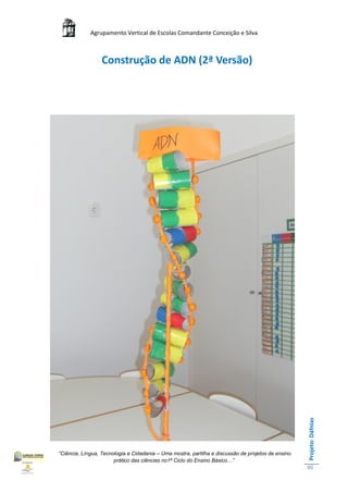 Agrupamento Vertical de Escolas Comandante Conceição e Silva



                  Construção de ADN (2ª Versão)




                                                                                                    Projeto: Dáfnias




“Ciência, Língua, Tecnologia e Cidadania – Uma mostra, partilha e discussão de projetos de ensino
                       prático das ciências no1ª Ciclo do Ensino Básico…”
                                                                                                    60
 