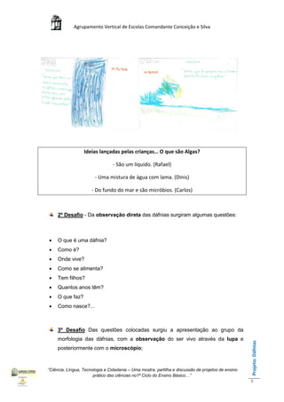 Agrupamento Vertical de Escolas Comandante Conceição e Silva




                  Ideias lançadas pelas crianças… O que são Algas?

                                 - São um líquido. (Rafael)

                        - Uma mistura de água com lama. (Dinis)

                      - Do fundo do mar e são micróbios. (Carlos)



     2º Desafio - Da observação direta das dáfnias surgiram algumas questões:



    O que é uma dáfnia?
    Como é?
    Onde vive?
    Como se alimenta?
    Tem filhos?
    Quantos anos têm?
    O que faz?
    Como nasce?...



     3º Desafio Das questões colocadas surgiu a apresentação ao grupo da
     morfologia das dáfnias, com a observação do ser vivo através da lupa e
                                                                                                    Projeto: Dáfnias




     posteriormente com o microscópio;



“Ciência, Língua, Tecnologia e Cidadania – Uma mostra, partilha e discussão de projetos de ensino
                       prático das ciências no1ª Ciclo do Ensino Básico…”
                                                                                                    8
 