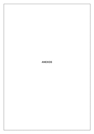 ANEXOS 
 