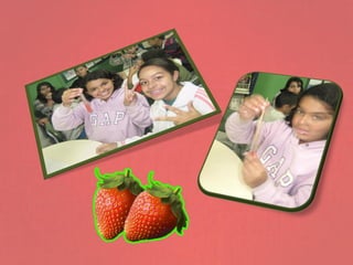 Extração do DNA do Morango