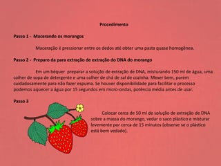 Procedimento
Passo 1 - Macerando os morangos
Maceração é pressionar entre os dedos até obter uma pasta quase homogênea.
Passo 2 - Preparo da para extração de extração do DNA do morango
Em um béquer preparar a solução de extração de DNA, misturando 150 ml de água, uma
colher de sopa de detergente e uma colher de chá de sal de cozinha. Mexer bem, porém
cuidadosamente para não fazer espuma. Se houver disponibilidade para facilitar o processo
podemos aquecer a água por 15 segundos em micro-ondas, potência média antes de usar.
Passo 3
Colocar cerca de 50 ml de solução de extração de DNA
sobre a massa do morango, vedar o saco plástico e misturar
levemente por cerca de 15 minutos (observe se o plástico
está bem vedado).
 