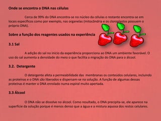 Onde se encontra o DNA nas células
Cerca de 99% do DNA encontra-se no núcleo da células o restante encontra-se em
locais específicos como por exemplo, nas organelas (mitocôndria e os cloroplastos possuem o
próprio DNA).
Sobre a função dos reagentes usados na experiência
3.1 Sal
A adição do sal no início da experiência proporciona ao DNA um ambiente favorável. O
uso do sal aumenta a densidade do meio o que facilita a migração do DNA para o álcool.
3.2. Detergente
O detergente afeta a permeabilidade das membranas os conteúdos celulares, incluindo
as proteínas e o DNA são liberados e dispersam-se na solução. A função de algumas dessas
proteínas é manter o DNA enrolado numa espiral muito apertada.
3.3 Álcool
O DNA não se dissolve no álcool. Como resultado, o DNA precipita-se, ele aparece na
superfície da solução porque é menos denso que a água e a mistura aquosa dos restos celulares.
 