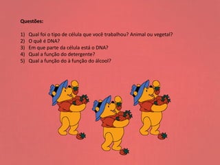 Questões:
1) Qual foi o tipo de célula que você trabalhou? Animal ou vegetal?
2) O quê é DNA?
3) Em que parte da célula está o DNA?
4) Qual a função do detergente?
5) Qual a função do à função do álcool?
 