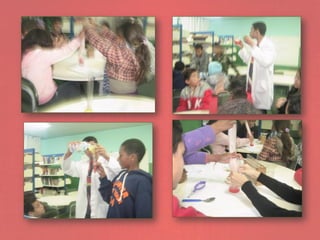 Extração do DNA do Morango