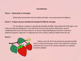 Procedimento
Passo 1 - Macerando os morangos
Maceração é pressionar entre os dedos até obter uma pasta quase homogênea.
Passo 2 - Preparo da para extração de extração do DNA do morango
Em um béquer preparar a solução de extração de DNA, misturando 150 ml de água, uma
colher de sopa de detergente e uma colher de chá de sal de cozinha. Mexer bem, porém
cuidadosamente para não fazer espuma. Se houver disponibilidade para facilitar o processo
podemos aquecer a água por 15 segundos em micro-ondas, potência média antes de usar.
Passo 3
Colocar cerca de 50 ml de solução de extração de DNA
sobre a massa do morango, vedar o saco plástico e misturar
levemente por cerca de 15 minutos (observe se o plástico
está bem vedado).
 