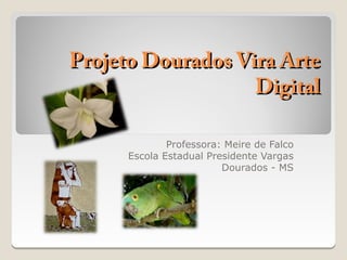 Projeto Dourados Vira Arte
                   Digital

              Professora: Meire de Falco
      Escola Estadual Presidente Vargas
                         Dourados - MS
 