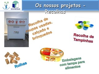 Os nossos projetos -Os nossos projetos -
RecolhasRecolhas
 