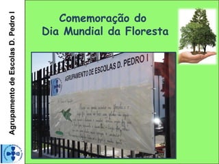 Comemoração do
Agrupamento de Escolas D. Pedro I

                                    Dia Mundial da Floresta
 