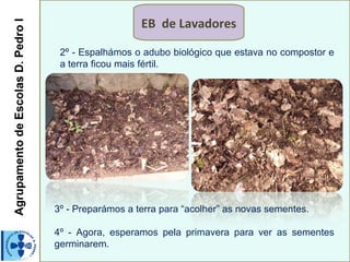 Agrupamento de Escolas D. Pedro I                      EB de Lavadores

                                     2º - Espalhámos o adubo biológico que estava no compostor e
                                     a terra ficou mais fértil.




                                    3º - Preparámos a terra para “acolher” as novas sementes.

                                    4º - Agora, esperamos pela primavera para ver as sementes
                                    germinarem.
 