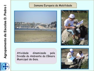 Agrupamento de Escolas D. Pedro I                Semana Europeia da Mobilidade




                                    Atividade    dinamizada   pela
                                    Divisão do Ambiente da Câmara
                                    Municipal de Gaia.
 