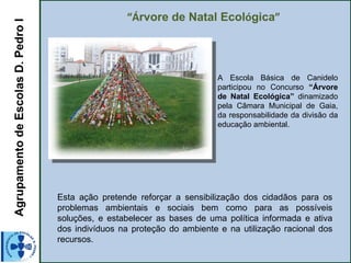 Agrupamento de Escolas D. Pedro I                   “Árvore de Natal Ecológica”




                                                                           A Escola Básica de Canidelo
                                                                           participou no Concurso “Árvore
                                                                           de Natal Ecológica” dinamizado
                                                                           pela Câmara Municipal de Gaia,
                                                                           da responsabilidade da divisão da
                                                                           educação ambiental.




                                    Esta ação pretende reforçar a sensibilização dos cidadãos para os
                                    problemas ambientais e sociais bem como para as possíveis
                                    soluções, e estabelecer as bases de uma política informada e ativa
                                    dos indivíduos na proteção do ambiente e na utilização racional dos
                                    recursos.
 