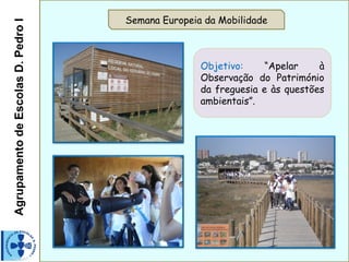 AgrupamentodeEscolasD.PedroI Semana Europeia da Mobilidade
Objetivo: “Apelar à
Observação do Património
da freguesia e às questões
ambientais”.
 