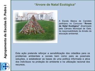 AgrupamentodeEscolasD.PedroI “Árvore de Natal Ecológica”
 
A Escola Básica de Canidelo
participou no Concurso “Árvore
de Natal Ecológica” dinamizado
pela Câmara Municipal de Gaia,
da responsabilidade da divisão da
educação ambiental.
Esta ação pretende reforçar a sensibilização dos cidadãos para os
problemas ambientais e sociais bem como para as possíveis
soluções, e estabelecer as bases de uma política informada e ativa
dos indivíduos na proteção do ambiente e na utilização racional dos
recursos.
 