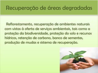 Recuperação de áreas degradadas
Reflorestamento, recuperação de ambientes naturais
com vistas à oferta de serviços ambientais, tais como a
proteção da biodiversidade, proteção do solo e recursos
hídricos, retenção de carbono, banco de sementes,
produção de mudas e sistema de recuperação.

 