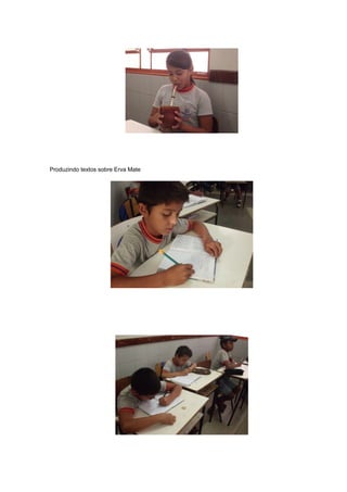 Produzindo textos sobre Erva Mate
 