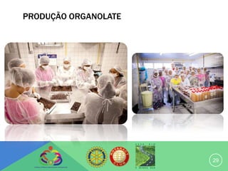 PRODUÇÃO ORGANOLATE




                      29
 