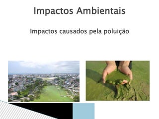 Impactos Ambientais
Impactos causados pela poluição
 