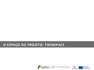 O ESPAÇO DO PROJETO: TWINSPACE
 