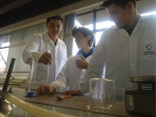 Projeto Experimentando Ciências!