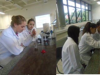 Projeto Experimentando Ciências!