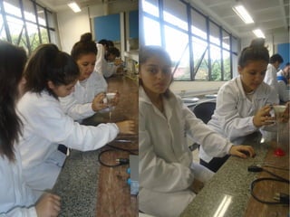 Projeto Experimentando Ciências!