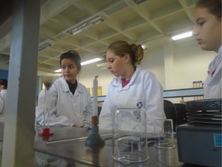 Projeto Experimentando Ciências!