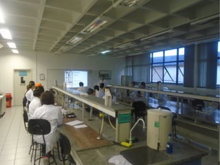 Projeto Experimentando Ciências!