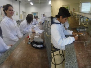 Projeto Experimentando Ciências!