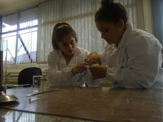 Projeto Experimentando Ciências!