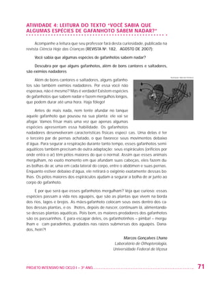 Atividade 4: LEITURA DO TEXTO “VOCÊ SABIA QUE
                   ALGUMAS ESPÉCIES DE GAFANHOTO SABEM NADAR?”

                        Acompanhe a leitura que seu professor fará desta curiosidade, publicada na
                   revista Ciência Hoje das Crianças (REVISTA No. 182,   AGOSTO DE 2007):

                         Você sabia que algumas espécies de gafanhotos sabem nadar?

                       Descubra por que alguns gafanhotos, além de bons cantores e saltadores,
                   são exímios nadadores
                                                                                                     Ilustração: Marcelo Pacheco
                        Além de bons cantores e saltadores, alguns gafanho-
                   tos são também exímios nadadores. Por essa você não
                   esperava, não é mesmo? Mas é verdade! Existem espécies
                   de gafanhotos que sabem nadar e fazem mergulhos longos,
                   que podem durar até uma hora. Haja fôlego!

                        Antes de mais nada, nem tente afundar no tanque
                   aquele gafanhoto que pousou na sua planta: ele vai se
                   afogar. Vamos frisar mais uma vez que apenas algumas
                   espécies apresentam essa habilidade. Os gafanhotos
                   nadadores desenvolveram características físicas específicas. Uma delas é ter
                   o terceiro par de pernas achatado, o que favorece seus movimentos debaixo
                   d’água. Para segurar a respiração durante tanto tempo, esses gafanhotos semi-
                   aquáticos também precisam de outra adaptação: seus espiráculos (orifícios por
                   onde entra o ar) têm pêlos maiores do que o normal. Assim que esses animais
                   mergulham, no exato momento em que afundam suas cabeças, eles fazem du-
                   as bolhas de ar, uma em cada lateral do corpo, entre o abdômen e suas pernas.
                   Enquanto estiver debaixo d’água, ele retirará o oxigênio exatamente dessas bo-
                   lhas. Os pêlos maiores dos espiráculos ajudam a segurar a bolha de ar junto ao
                   corpo do gafanhoto.

                        E por que será que esses gafanhotos mergulham? Veja que curioso: essas
                   espécies passam a vida nos aguapés, que são as plantas que vivem na borda
                   dos rios, lagos e brejos. As mães-gafanhoto colocam seus ovos dentro dos ca-
                   bos dessas plantas, e os filhotes, depois de nascer, continuam lá, alimentando-
                   se dessas plantas aquáticas. Pois bem, os maiores predadores dos gafanhotos
                   são os passarinhos. E para escapar deles, os gafanhotinhos – pimba! – mergu-
                   lham e ficam paradinhos, grudados nas raízes submersas dos aguapés. Dana-
                   dos, hein?!

                                                                         Marcos Gonçalves Lhano
                                                                    Laboratório de Othopterologia,
                                                                   Universidade Federal de Viçosa



                   PROJETO INTENSIVO NO CICLO I – 3O ANO	                                                                          71


25983004 miolo.indd 71                                                                                                             29.01.08 16:47:52
 
