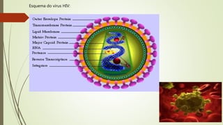 Esquema do vírus HIV:
 