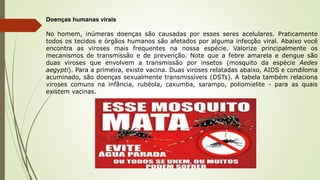 Doenças humanas virais
No homem, inúmeras doenças são causadas por esses seres acelulares. Praticamente
todos os tecidos e órgãos humanos são afetados por alguma infecção viral. Abaixo você
encontra as viroses mais frequentes na nossa espécie. Valorize principalmente os
mecanismos de transmissão e de prevenção. Note que a febre amarela e dengue são
duas viroses que envolvem a transmissão por insetos (mosquito da espécie Aedes
aegypti). Para a primeira, existe vacina. Duas viroses relatadas abaixo, AIDS e condiloma
acuminado, são doenças sexualmente transmissíveis (DSTs). A tabela também relaciona
viroses comuns na infância, rubéola, caxumba, sarampo, poliomielite - para as quais
existem vacinas.
 