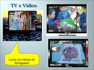 Lucas um intruso no formigueiro 