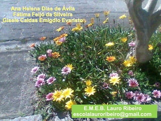 E.M.E.B. Lauro Ribeiro [email_address] 