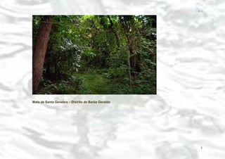 − 3 −

Mata de Santa Genebra – Distrito de Barão Geraldo

3

 