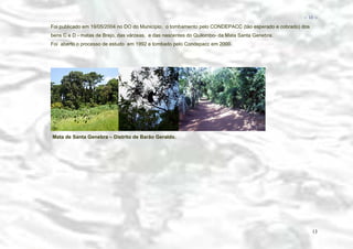 − 13 −

Foi publicado em 19/05/2004 no DO do Município, o tombamento pelo CONDEPACC (tão esperado e cobrado) dos
bens C e D - matas de Brejo, das várzeas, e das nascentes do Quilombo- da Mata Santa Genebra.
Foi aberto o processo de estudo em 1992 e tombado pelo Condepacc em 2000.

Mata de Santa Genebra – Distrito de Barão Geraldo.

13

 