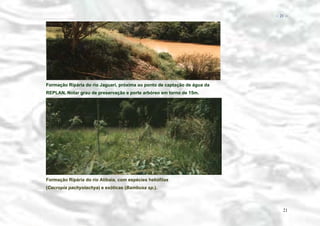 − 21 −

Formação Ripária do rio Jaguari, próxima ao ponto de captação de água da
REPLAN. Notar grau de preservação e porte arbóreo em torno de 15m.

Formação Ripária do rio Atibaia, com espécies heliófilas
(Cecropia pachystachya) e exóticas (Bambusa sp.).

21

 