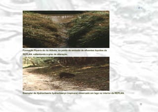 − 22 −

Formação Ripária do rio Atibaia, no ponto de emissão de efluentes líquidos da
REPLAN, salientando o grau de alteração.

Exemplar de Hydrochaeris hydrochaerys (capivara) observado em lago no interior da REPLAN.

22

 