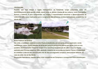 − 31 −

2.B.PAULINIA
Paulínia, que hoje integra a região metropolitana de Campinas, surgiu justamente como um
desmembramento desta grande cidade, assim como as demais cidades de seu entorno, como Cosmópolis,
Sumaré e Valinhos. E para compreender sua origem, é imprescindível mencionar o desenvolvimento da
cultura do café e suas implicações para o surgimento dos primeiros núcleos habitacionais consistentes no
século XIX.

Áreas Públicas de Paulinia
Até então, a localidade onde se encontra Paulínia atualmente, era um sertão pouco explorado e ainda
habitado por índios. Foram doações de terras por parte do governo da colônia que deram início ao seu
paulatino desbravamento. Campinas surgia como nova força na produção do café e com a Lei Áurea
assinada pela Princesa Isabel em 1888, abolindo o sistema de escravidão do império, houve a necessidade
de substituir a mão de obra escrava pela mão de obra de imigrantes europeus, basicamente italianos, no
caso da então vila de São Bento.
Os grandes fazendeiros, naquela época, eram vereadores em Campinas e conseguiram financiamento para

31

 