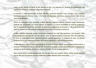 − 47 −

costa, do Rio Grande do Norte ao Rio Grande do Sul, e se estendia por centenas de quilômetros, nas
regiões Sul e Sudeste, chegando à Argentina e Paraguai.
A extensão e ampla distribuição da Mata Atlântica, ocupando latitudes muito variadas, com condições
climáticas bastante diversas, levou à formação de diferentes ambientes, proporcionando uma enorme
diversidade biológica.
Dentro da riquíssima fauna existente na Mata Atlântica, algumas espécies possuem ampla distribuição,
podendo ser encontradas em outras regiões, no entanto, é a enorme quantidade de espécies endêmicas.
São 51 espécies de mamíferos, entre elas 21 espécies e subespécies de primatas, e 160 espécies de aves.
Entre os anfíbios das 183 espécies catalogadas, 91,8% são consideradas endêmicas.
A Mata Atlântica apresenta grande diversidade biológica. No caso dos mamíferos, por exemplo, estão
catalogadas 215 espécies. No caso das plantas, cerca de 10 mil espécies conhecidas, 50% são endêmicas.
O nível de endemismo cresce significativamente quando separamos as espécies da flora em grupos,
atingindo 53,5% para espécies arbóreas, 64% para as palmeiras e 74,4% para as bromélias.
A Mata Atlântica possui a maior diversidade de árvores do mundo. Apesar desta grande biodiversidade, a
situação é extremamente grave, pois das 202 espécies de animais consideradas oficialmente ameaçadas de
extinção no Brasil (IBAMA, Portaria no 1.522 de 19/12/89), 171 são da Mata Atlântica.
Este número tende a crescer rapidamente. No caso das aves, por exemplo, estudo recente aponta que pelo
menos 40% das 214 espécies de aves endêmicas da Mata Atlântica estão ameaçadas.

47

 