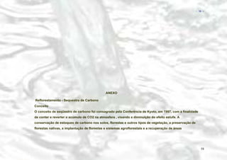 − 58 −

ANEXO
Reflorestamento - Sequestro de Carbono
Conceito
O conceito de seqüestro de carbono foi consagrado pela Conferência de Kyoto, em 1997, com a finalidade
de conter e reverter o acúmulo de CO2 na atmosfera , visando a diminuição do efeito estufa. A
conservação de estoques de carbono nos solos, florestas e outros tipos de vegetação, a preservação de
florestas nativas, a implantação de florestas e sistemas agroflorestais e a recuperação de áreas

58

 