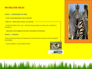 NA SALA DE AULA!
ETAPA 1 – INTRODUÇÃO AO TEMA
 Iniciar a aula explicando o que é extinção.
Exibir um Vídeo sobre animais em extinção
 A partir do vídeo inicie uma roda de conversa sobre os animais em extinção na
Amazônia;
 Apresente uma Listagem de animais conhecidos na Amazônia;
ETAPA 2 – PESQUISA
Peça as alunos que faça uma pesquisa na internet sobre os animais mais ameaçados
de extinção;
 E que escolham um para falarem dele.
·
.
 