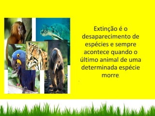 Extinção é o
desaparecimento de
espécies e sempre
acontece quando o
último animal de uma
determinada espécie
morre.
.
 