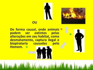 OU
De forma causal, onde animais
podem ser extintos pelas
alterações em seu habitat, como
desmatamento, captura ilegal e
biopirataria causadas pelo
Homem.
 