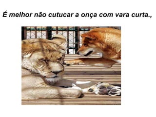 É melhor não cutucar a onça com vara curta.,
 