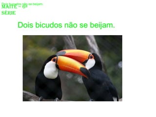 Dois bucudos não se beijam.
Maitê – 6ª
série

          Dois bicudos não se beijam.
 