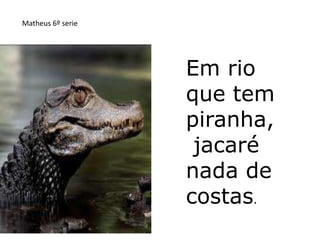 Matheus 6º serie




                   Em rio
                   que tem
                   piranha,
                    jacaré
                   nada de
                   costas.
 